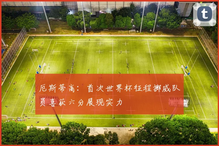 厄斯蒂高：首次世界杯征程挪威队员喜获六分展现实力