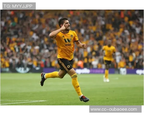 法甲身价大幅上涨维蒂尼亚内维斯合计达11亿欧青木价值提升至5000万